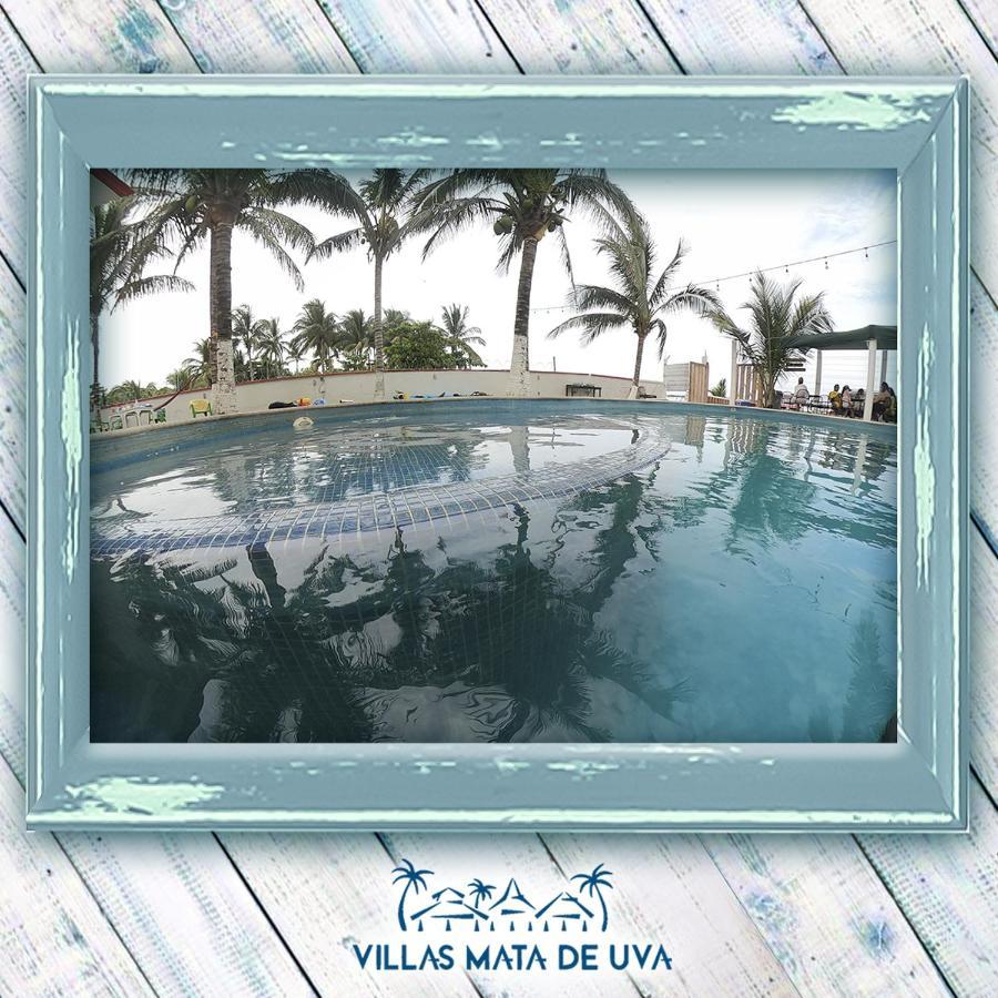 Villas Mata De Uva Heroica Heroica Alvarado 외부 사진