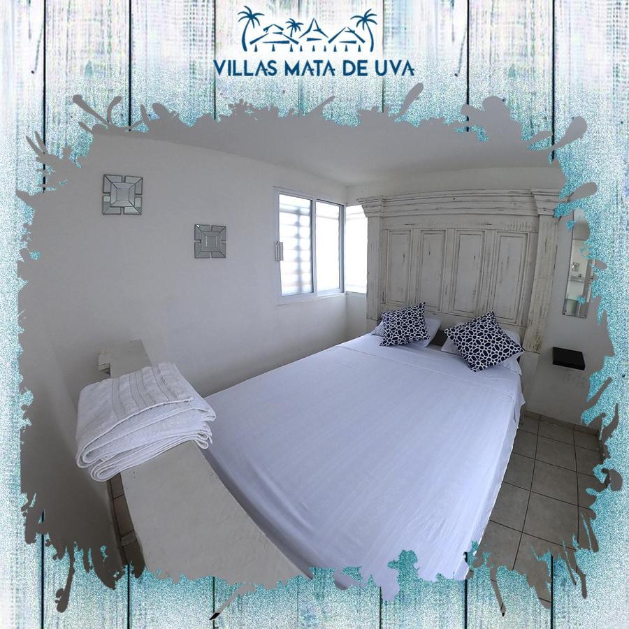 Villas Mata De Uva Heroica Heroica Alvarado 외부 사진