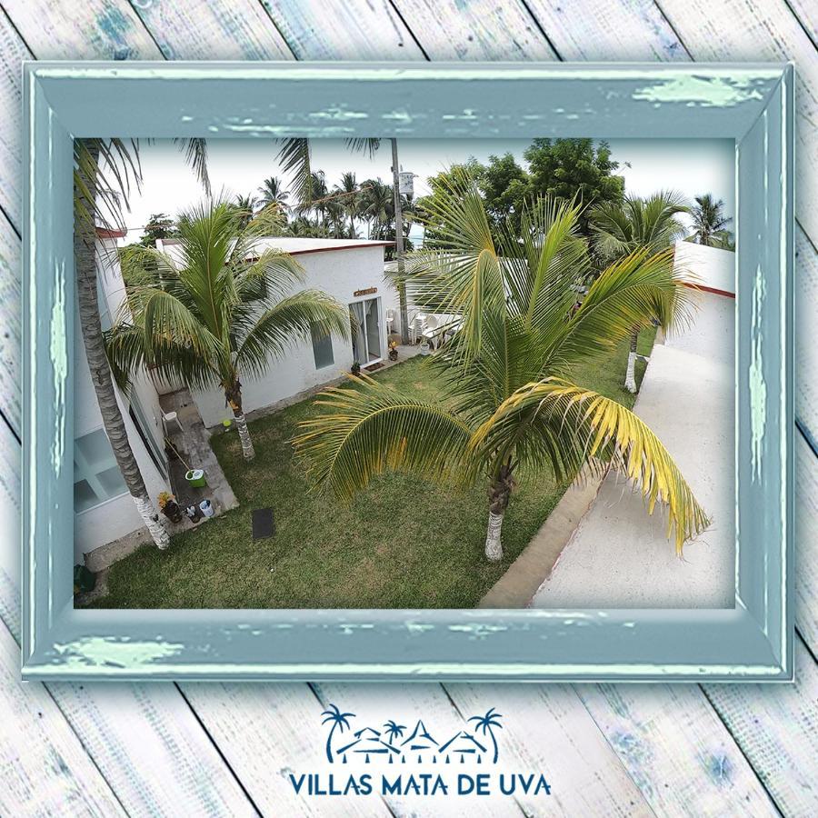 Villas Mata De Uva Heroica Heroica Alvarado 외부 사진